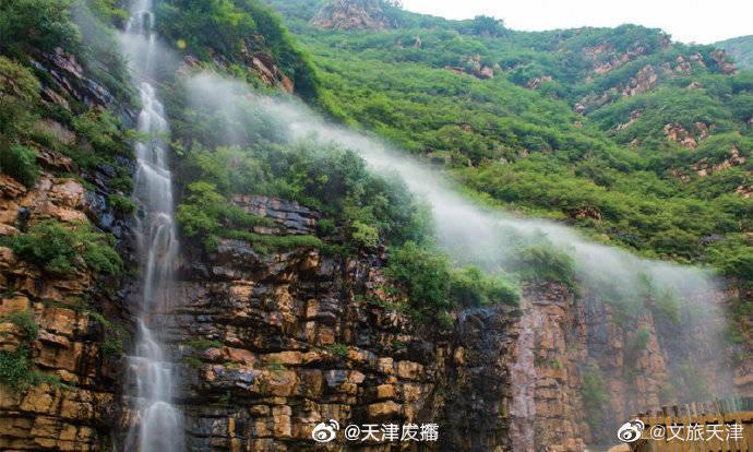 动物记忆大翻牌